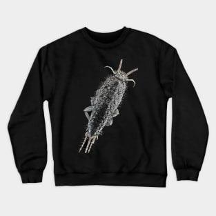 Zygentoma silverfish Crewneck Sweatshirt